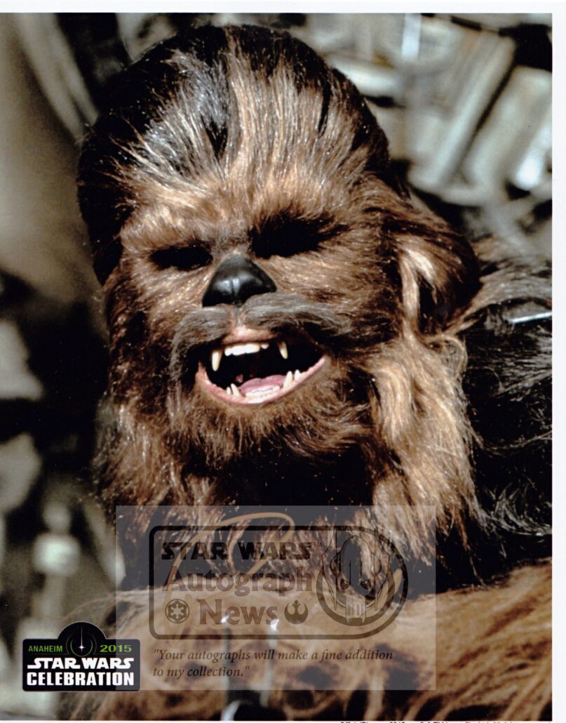 Featured image for “PETER MAYHEW”